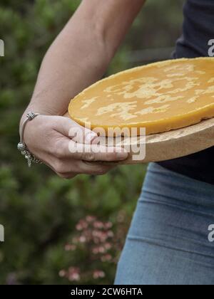 Donna che tiene un pezzo arrotondato giallo di cera d'api fusa. Sfondo sfocato. Foto Stock