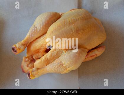 Pollo grezzo Foto Stock