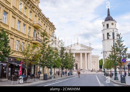 Gedimino Prospektas, con la cattedrale, Vilnius, Lituania Foto Stock