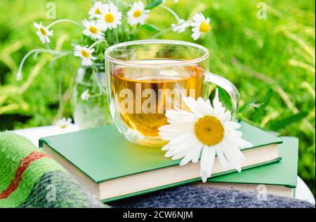 Tè camomilla. Tazza di tisana di camomilla con fiore di camomilla su libri e plaid caldo all'aperto con sfondo naturale in giardino. Romantico Foto Stock
