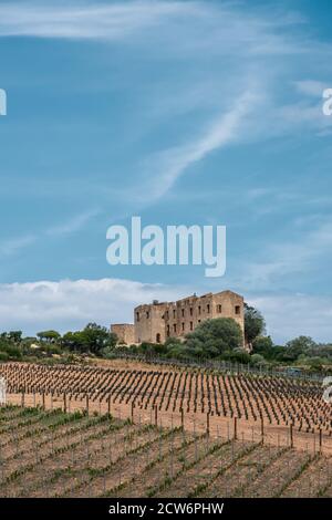 Vigneti appena panati circondano il castello derelict del principe Pierre Napoleone Bonaparte nei pressi di Calvi in Corisca Foto Stock