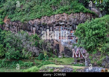 Tau Tau, effigi funerari, Lemo, Tona Toraja, Sulawesi del Sud, Isole della Grande Sunda, Indonesia Foto Stock