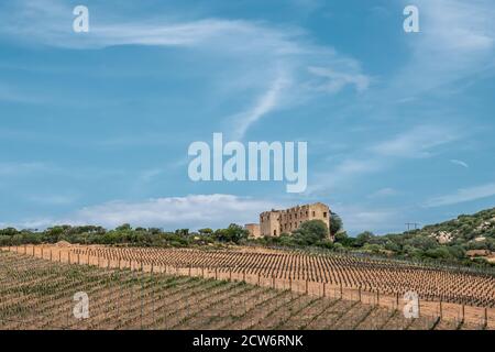 Vigneti appena panati circondano il castello derelict del principe Pierre Napoleone Bonaparte nei pressi di Calvi in Corisca Foto Stock