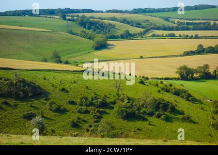 Vista su Butser Hill nel South Downs National Park Hampshire.Butser Hill è una collina di gesso in Hampshire, sulla lunga cresta del South Downs. Foto Stock