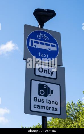 Cartello stradale che indica biciclette autobus e taxi solo a Bolton Lancashire 2020 luglio Foto Stock