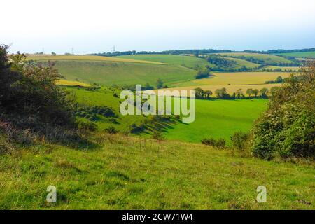 Vista su Butser Hill nel South Downs National Park Hampshire.Butser Hill è una collina di gesso in Hampshire, sulla lunga cresta del South Downs. Foto Stock