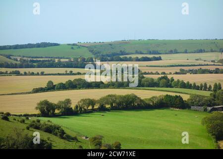 Vista su Butser Hill nel South Downs National Park Hampshire.Butser Hill è una collina di gesso in Hampshire, sulla lunga cresta del South Downs. Foto Stock