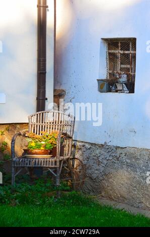 Still life - sedia in rattan da giardino con vaso di fiori su una vecchia parete bianca sfondo casa, gioco di luci e ombre. Angolo giardino. Foto Stock