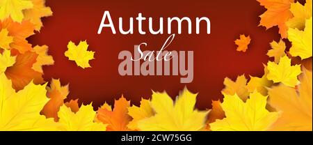 Offrire banner autunnale con foglie di acero giallo. Vendita autunnale design per il tuo poster, scheda, etichetta. Vettore 3D. Illustrazione Vettoriale