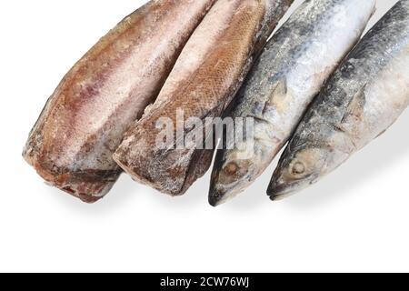 Sgombro congelato e nasello isolato su sfondo bianco. Assortimento di pesce surgelato. Gruppo di carcasse di pesce. Vista dall'alto. Foto Stock
