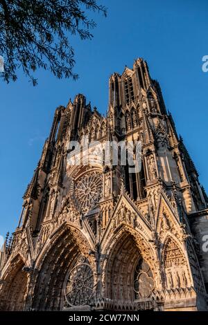 Cattedrale di Notre-Dame, Westfassade, UNESCO-Weltkulturbe, Reims, Champagne, Frankreich Foto Stock