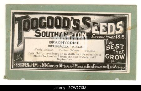 Inizio del 1900 's Toogood's Seeds pacchetto, Brachyscome iberidifolia, Swan River Daisy (australiano) seminatori a re George V (e il tardo Edoardo) così risale a circa 1911, Southampton, U.K Foto Stock