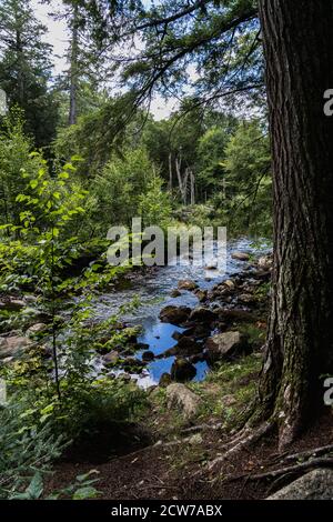 Un ruscello che conduce a Owen Pond in Lake Placid, NY Foto Stock