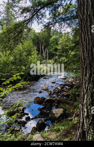 Un ruscello che conduce a Owen Pond in Lake Placid, NY Foto Stock