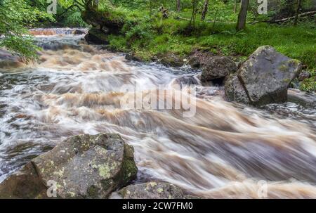 Le acque fluenti di West Beck a Mallyan Spout dopo la pioggia d'estate torrenziale Foto Stock