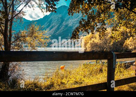 Bella vista del lago tovel del trentino alto adige in diverse viste, dal basso, dal ponte e da una piccola cornice di alberi e piante Foto Stock