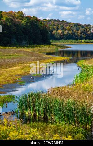 Lower Woods Pond è un lago naturale di 50 ettari nella contea settentrionale di Wayne, Pennsylvania. Per anni lo sbocco è stato smorzato per aumentare le dimensioni del lago a 91 Foto Stock