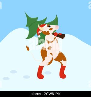 Simbolo del 2021, il toro porta a casa un albero di Natale. Cartoon animale cinese zodiaco illustrazione Illustrazione Vettoriale