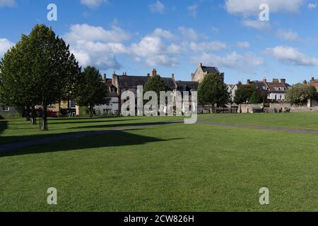 Wells Cattedrale Verde Foto Stock