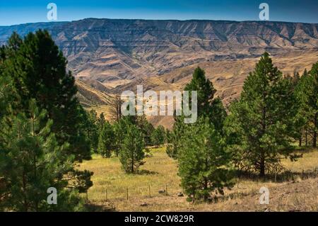 Summit Ridge sopra Hells Canyon visto da Pittsburg Saddle sulla strada per Pittsburg Landing sul fiume Snake, Idaho, Stati Uniti Foto Stock