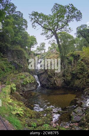 Aira Force, cascata vicino a Pooley Bridge, Cumbria Foto Stock
