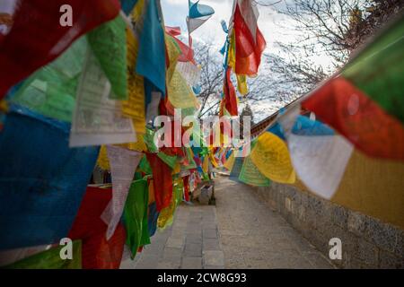 Bandiere di preghiera soffiano a Shangri-la, Cina. Foto Stock