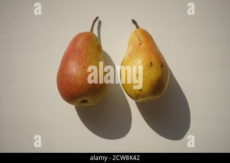 Due pere gialle shabby su un tavolo bianco soleggiato. Foto Stock