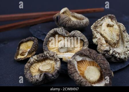 Macro closeup di funghi shiitake cinesi secchi isolati su ardesia fondo di pietra (fuoco sul fungo centrale) Foto Stock