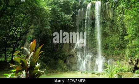 Cascate di Kawasan nella giungla tropicale, Bohol, Filippine. Cascata nella foresta tropicale. Foto Stock