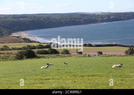 Croy, Ayrshire, Scozia, Regno Unito. Croy spiaggia in Ayrshire con figure solitarie godendo una passeggiata Foto Stock