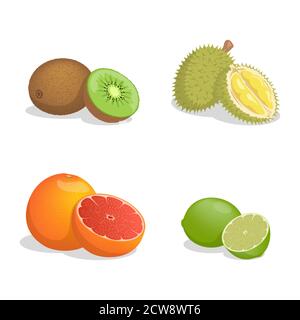 Kiwi, durian, pompelmo, e lime vettore illustrazione cartoon isolato su sfondo bianco. Frutta fresca succosa per una sana alimentazione. Frutti tropicali esotici pieni di vitamine. Illustrazione Vettoriale