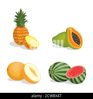 Ananas, papaya, melone, e cocomero vettore cartoon illustrazione isolato su sfondo bianco. Frutta tropicale matura e succosa e fette piene di vitamine. Frutta esotica fresca. Illustrazione Vettoriale