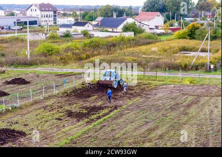 Aratri di trattore blu in un campo, coltivatori raccolgono patate, Russia, regione di Kaliningrad, 29 settembre 2020 Foto Stock