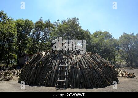 Preparazione per fare carbone da legno. Silivri, Turchia. Un palo di legno preparato per produzione di carbone in una zona boschiva. Foto Stock