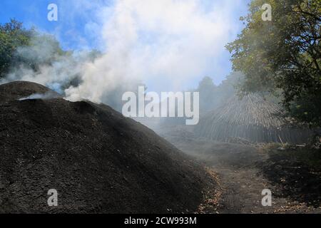 Preparazione per fare carbone da legno. Silivri, Turchia. Un palo di legno preparato per produzione di carbone in una zona boschiva. Foto Stock