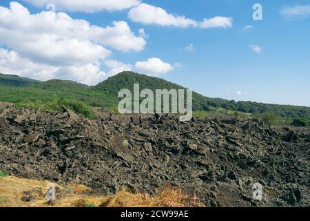 Paesaggio vulcanico della Sicilia con lava vecchia e fredda Alberi di quercia a cono di cenere coperti nel Parco dell'Etna mondo UNESCO Patrimonio Foto Stock