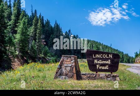 Lincoln National Forest, segui l'autostrada US 82 vicino a Cloudcroft, Otero County, New Mexico. Foto Stock