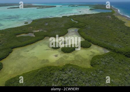 Paesaggio aereo foresta di mangrovie circondato da acque blu nei Caraibi isola di Los Roques Foto Stock