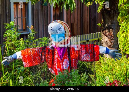 Lo scarrecrow di Halloween vestito in un kimono giapponese con un volto Maschera nel Giardino Murakami di Steveston durante il Covid 19 pandemia della Columbia Britannica CA Foto Stock