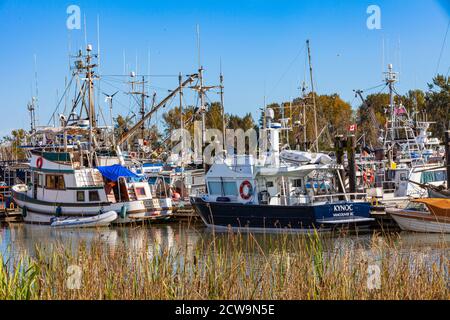 Imbarcazioni da diporto e barche da pesca attraccate nel porto di Steveston Paramount British Columbia Canada Foto Stock