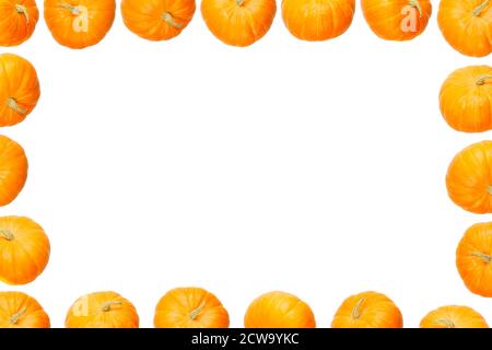 Layout creativo fatto di zucca. Disposizione piatta. Concetto di cibo. Zucca matura arancio moderno layout può essere utilizzato per menu o per halloween mockup Foto Stock