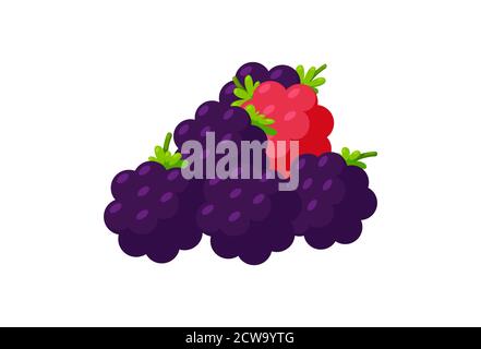 Manciata di more e lampone. Bacche isolate su sfondo bianco. Illustrazione vettoriale in stile cartoon Illustrazione Vettoriale