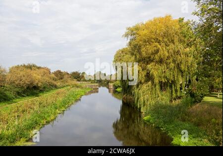 Selby Canal a West Haddlesey, North Yorkshire, Inghilterra Regno Unito Foto Stock