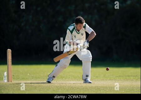 Cricket battitore giocando tiro. Foto Stock
