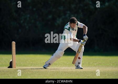 Cricket battitore giocando tiro. Foto Stock