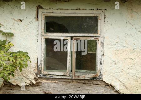 Una vecchia finestra in una vecchia casa abbandonata Foto Stock