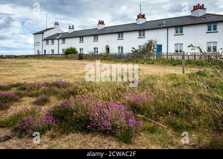 White Coastguard cottage a Dunwich Heath, Suffolk, Inghilterra Foto Stock