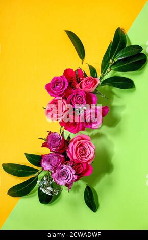 Layout creativo con belle rose rosa fiori e foglie verdi su sfondo verde giallo brillante. Disposizione piatta. Concetto di biglietto d'auguri Foto Stock