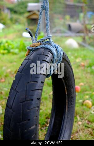 corda legata intorno gomma auto pneumatico su albero in giardino, norfolk, inghilterra Foto Stock