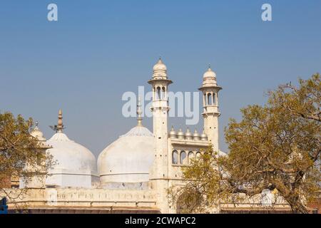 India, Uttar Pradesh, Varanasi, la Moschea Gyanvapi - al Tempio d'oro di Vishwanath Foto Stock